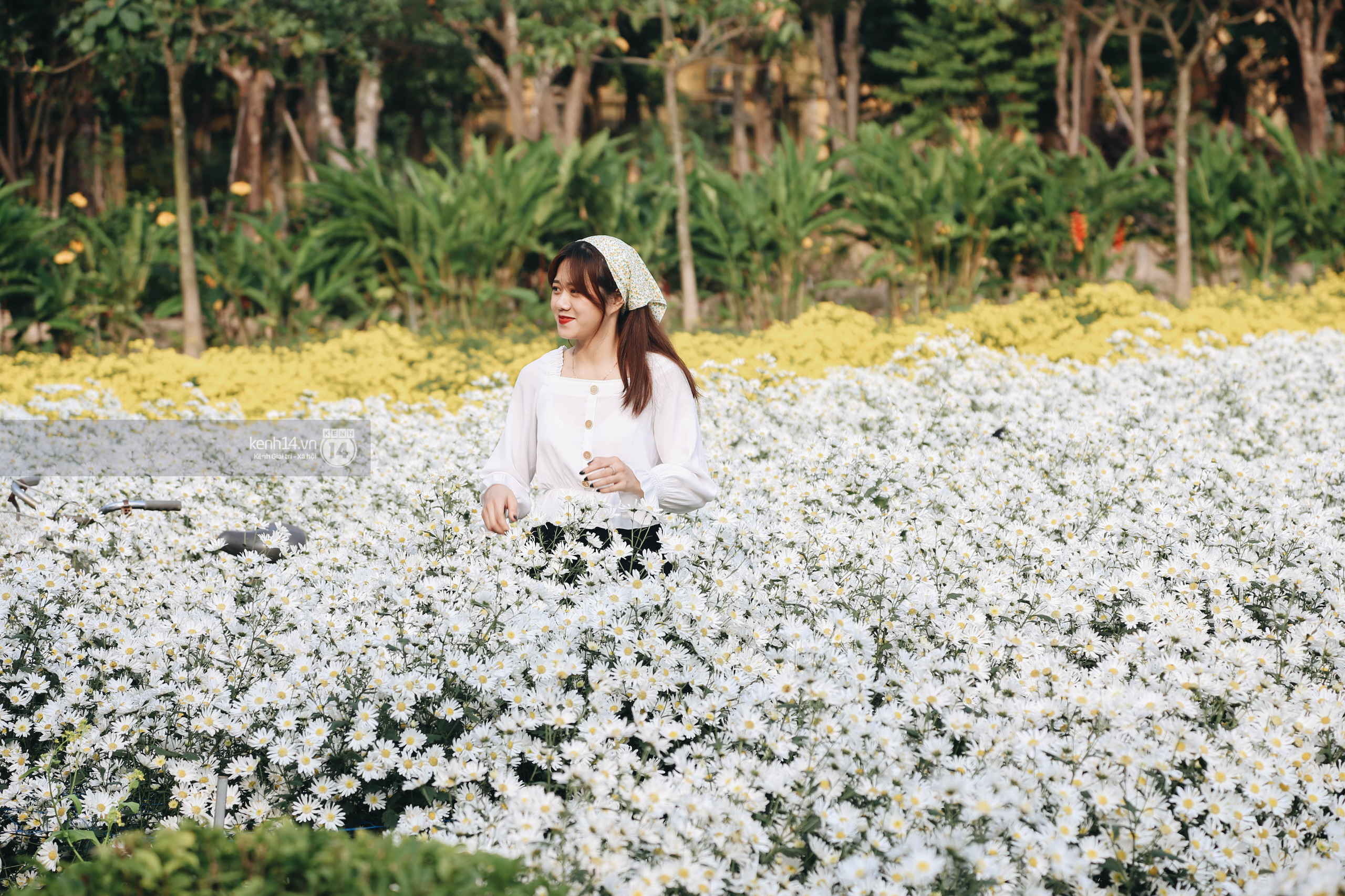 Trường ĐH rộng gần 200 ha có vườn hoa đẹp nhất mùa đông Hà Nội