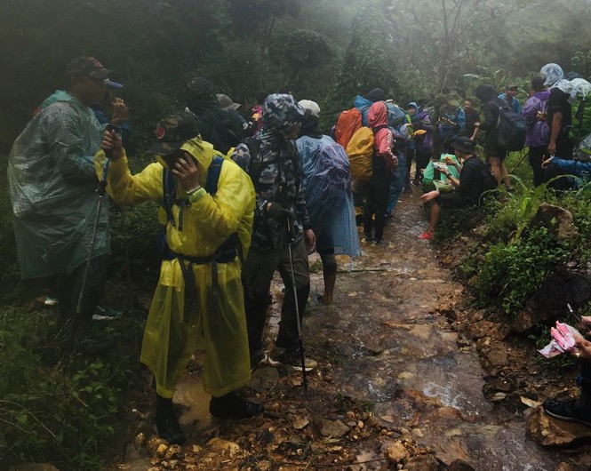 Nhóm du khách mắc kẹt, mất liên lạc trên núi Tà Giang đã trở về an toàn - Ảnh 2.