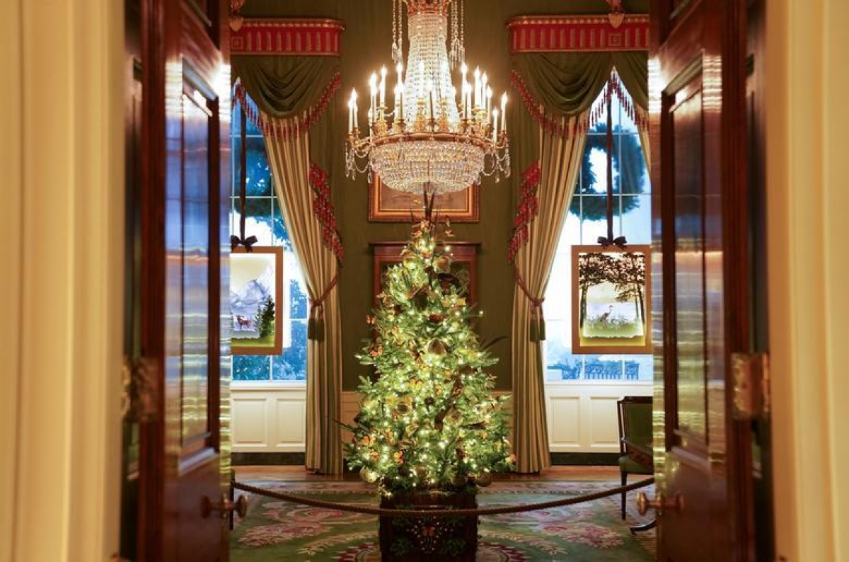 Nhà Trắng trang trí lộng lẫy đón Giáng sinh 2020 - Ảnh 5.