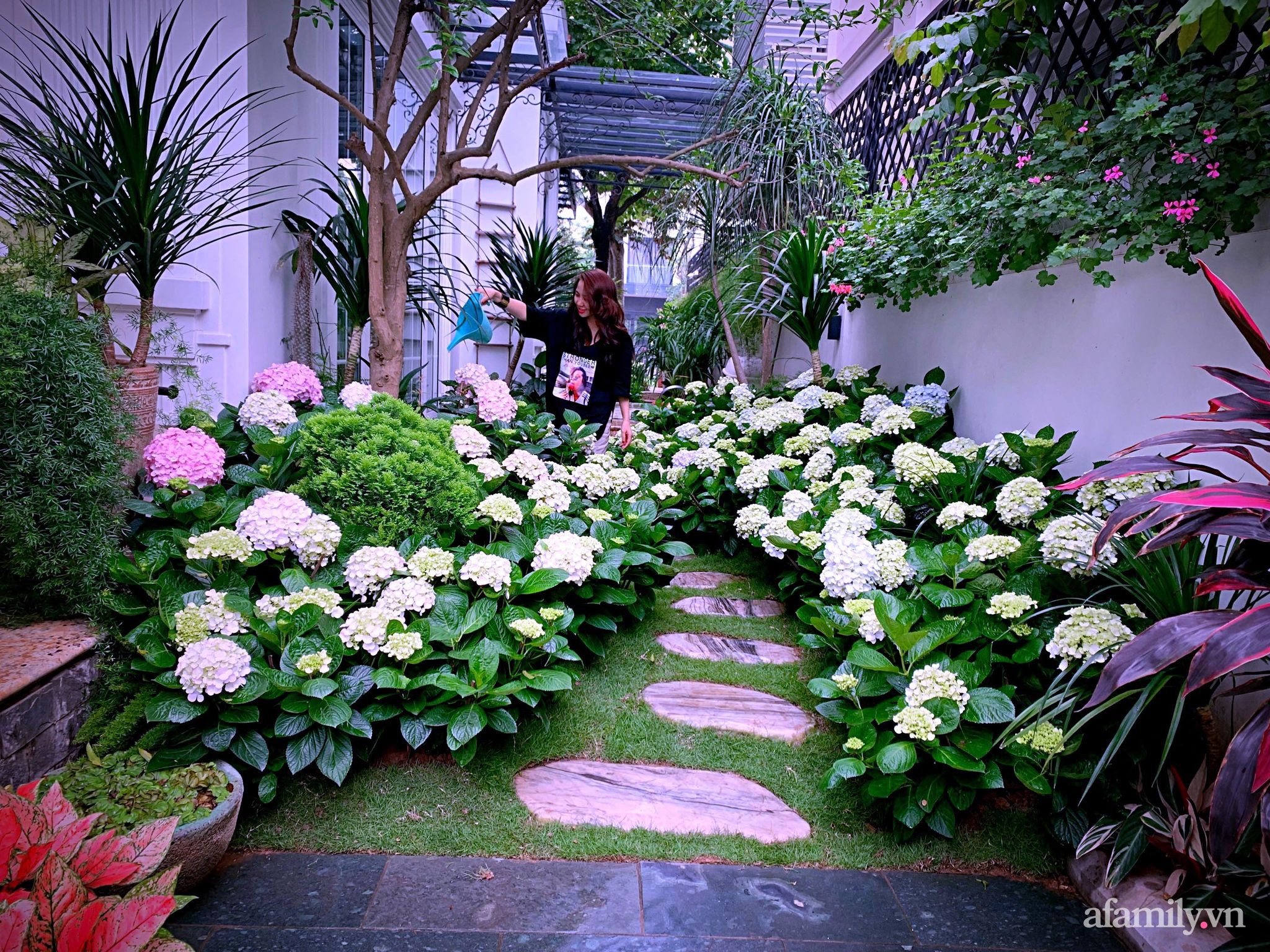 Khu vườn bốn mùa khoe sắc của nữ chủ nhân có nụ cười xinh như hoa ở Hà Nội - Ảnh 1.