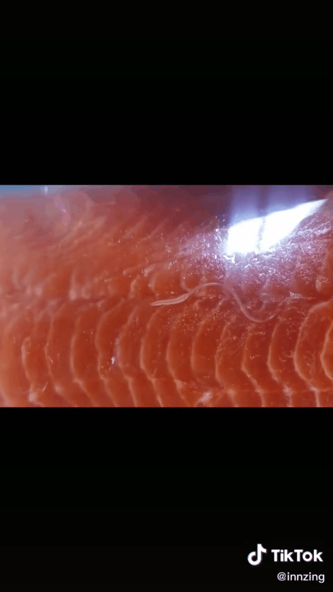 Nhìn khay cá hồi tươi sống màu cam đầy bắt mắt trong siêu thị, khách hoảng hồn khi phát hiện thứ ngọ nguậy bên trong lớp màng bọc - Ảnh 4.
