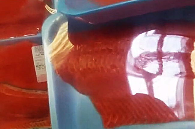Nhìn khay cá hồi tươi sống màu cam đầy bắt mắt trong siêu thị, khách hoảng hồn khi phát hiện thứ ngọ nguậy bên trong lớp màng bọc - Ảnh 2.