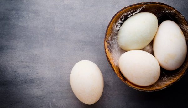 10 lý do khiến trứng vịt bỗng dưng ngon bổ hơn trứng gà nhưng nhận định của chuyên gia mới là điều bạn cần ghi nhớ khi ăn - Ảnh 1.