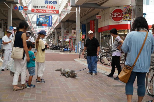 &quot;Tình thương mù quáng&quot; của người đàn ông dành cho con cá sấu cưng suốt gần 40 năm, con vật tấn công con trai cũng chọn tha thứ cho nó - Ảnh 5.