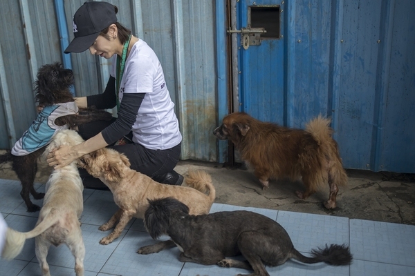 Bị chó nhà cắn, nữ sinh Trung Quốc rơi vào cảnh chết não - Ảnh 1.