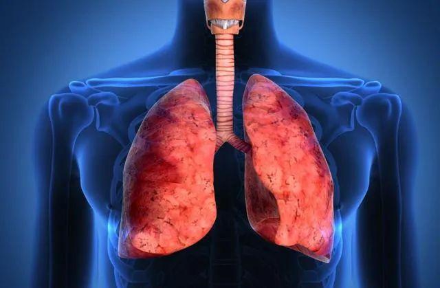 Người có phổi không khỏe có thể có 3 biểu hiện điển hình trên tay, làm 3 việc này sẽ giúp phổi khỏe mạnh - Ảnh 1.