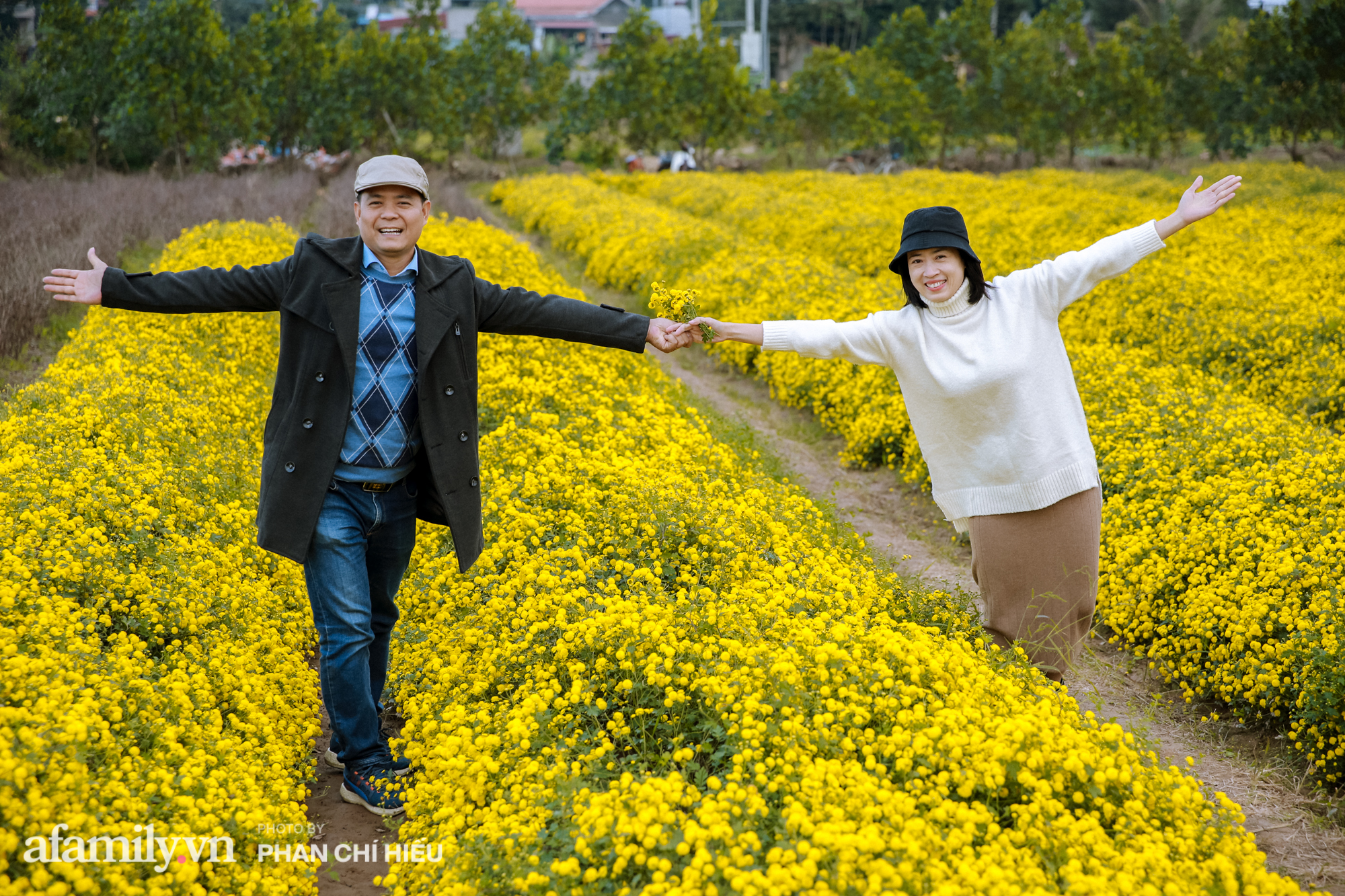 Visit a hundred-year village near Hanoi, possessing the "kingly" chrysanthemum fields  golden, making people everywhere pouring in to take pictures - Photo 7.