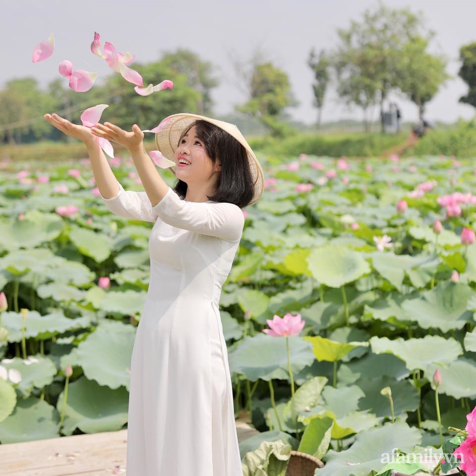 Ngắm bộ sưu tập bộ nồi kim loại tráng men &quot;đẹp hút hồn&quot; của mẹ đảm ở Hà Nội cùng kinh nghiệm khi chọn, sử dụng và lưu trữ trong nhà chật - Ảnh 2.