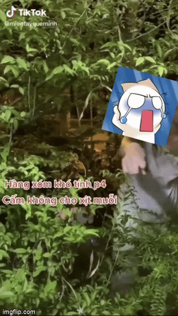 Cấm hàng xóm dừng phun thuốc muỗi không được, người đàn bà sống kế bên dậy tự sớm tinh mơ có hành động "trả đũa" ai cũng bất ngờ - Ảnh 1. Cấm hàng xóm dừng phun thuốc muỗi không được, người đàn bà sống kế bên dậy tự sớm tinh mơ có hành động "trả đũa" ai cũng bất ngờ - Ảnh 1.