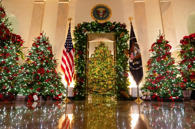 Nhà Trắng trang hoàng lộng lẫy đón Giáng sinh 2020 - Ảnh 6.