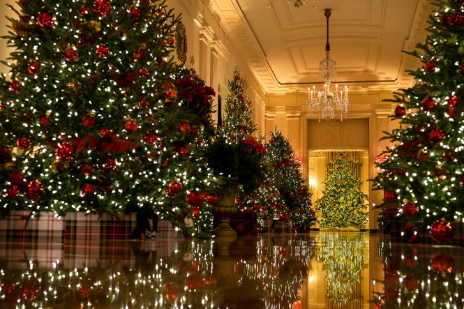 Nhà Trắng trang hoàng lộng lẫy đón Giáng sinh 2020 - Ảnh 5.