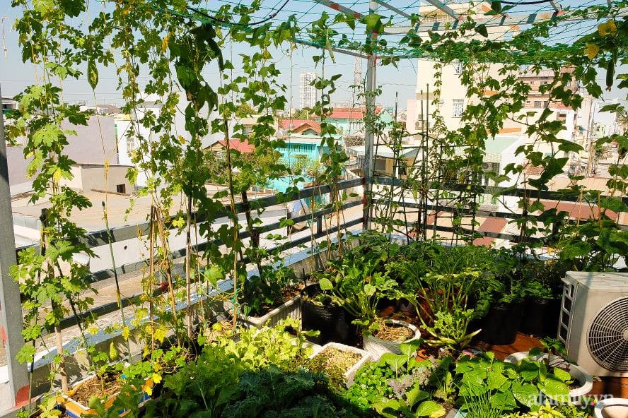 Bí quyết dễ học để tạo góc vườn xanh mát mắt đủ loại rau quả sạch của mẹ 3 con ở Sài Gòn - Ảnh 2.