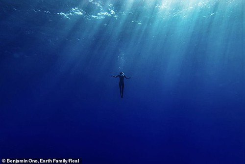 Rùng mình khi người mẫu khỏa thân, không đồ bảo hộ bơi giữa đàn cá mập để chụp ảnh | Giải trí - Ảnh 2.