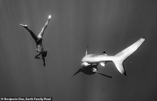 Rùng mình khi người mẫu khỏa thân, không đồ bảo hộ bơi giữa đàn cá mập để chụp ảnh | Giải trí - Ảnh 4.