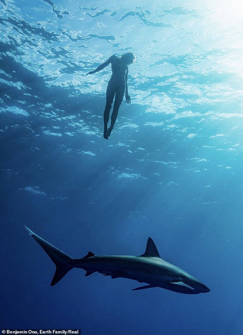 Rùng mình khi người mẫu khỏa thân, không đồ bảo hộ bơi giữa đàn cá mập để chụp ảnh | Giải trí - Ảnh 7.