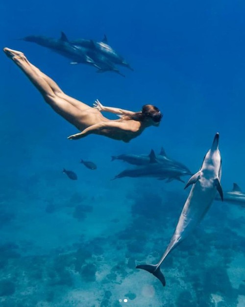Rùng mình khi người mẫu khỏa thân, không đồ bảo hộ bơi giữa đàn cá mập để chụp ảnh | Giải trí - Ảnh 8.