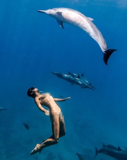 Rùng mình khi người mẫu khỏa thân, không đồ bảo hộ bơi giữa đàn cá mập để chụp ảnh | Giải trí - Ảnh 9.