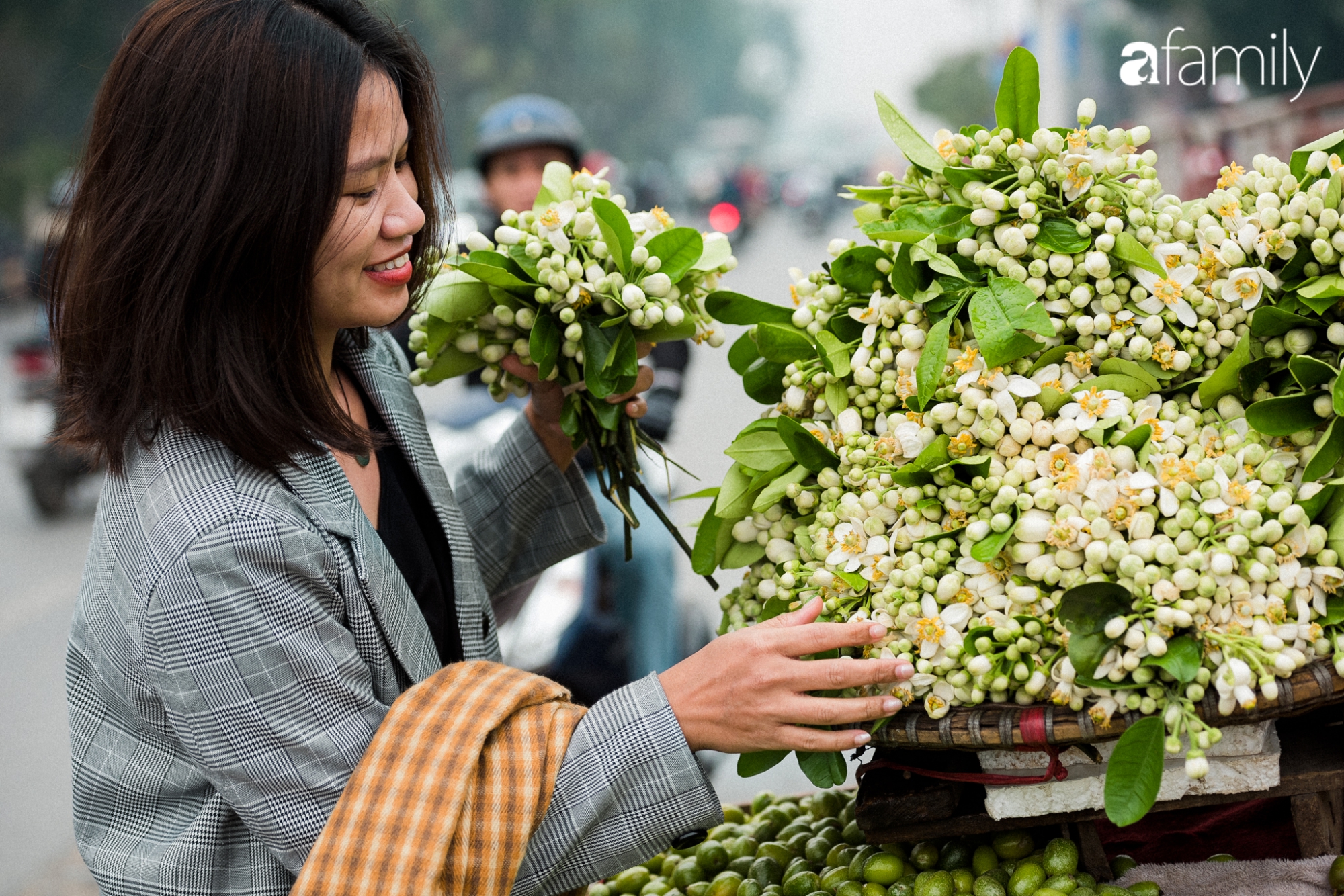 Hoa bưởi - loài hoa quê kiểng &quot;ướp&quot; thơm chốn kinh kỳ tháng Giêng hai - Ảnh 1.