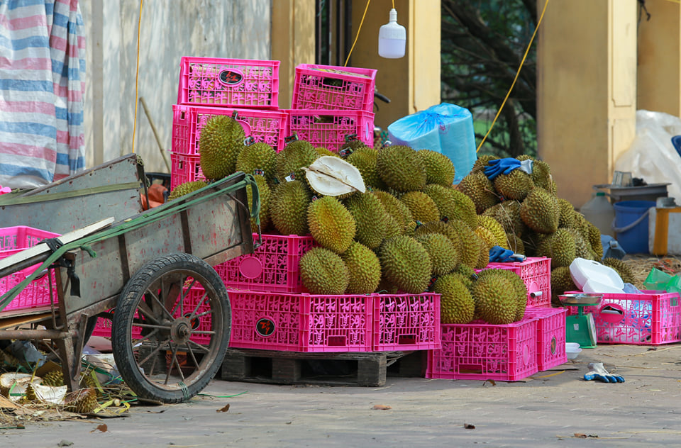 Hà Nội: Đường phố tràn lan biển “giải cứu” sầu riêng, khoai lang Nhật - Ảnh 8.