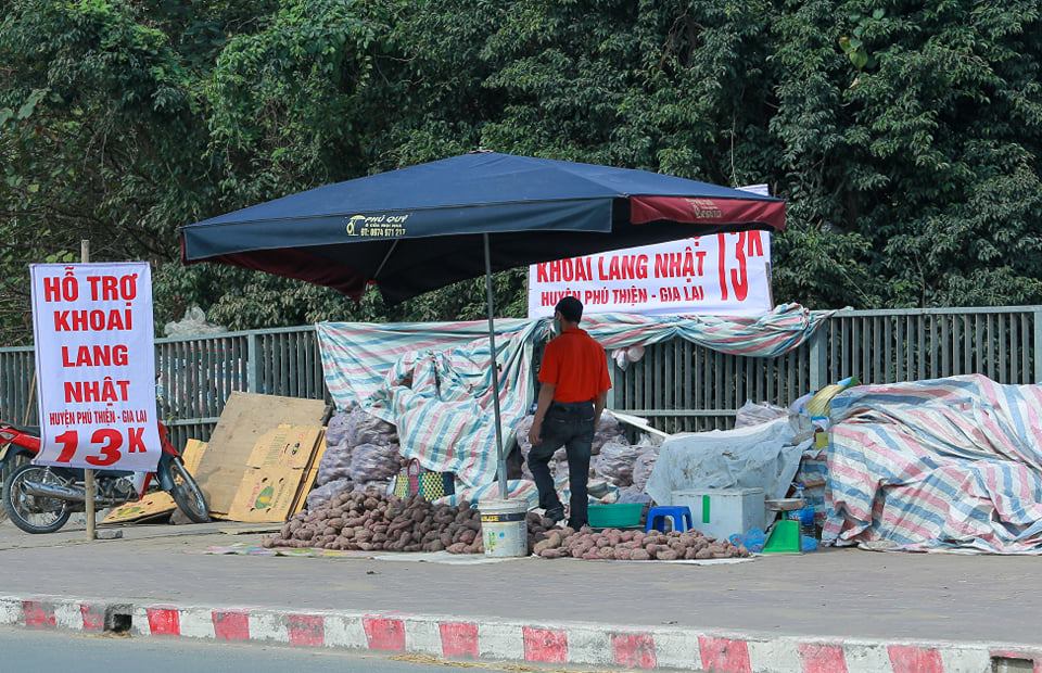 Hà Nội: Đường phố tràn lan biển “giải cứu” sầu riêng, khoai lang Nhật - Ảnh 4.