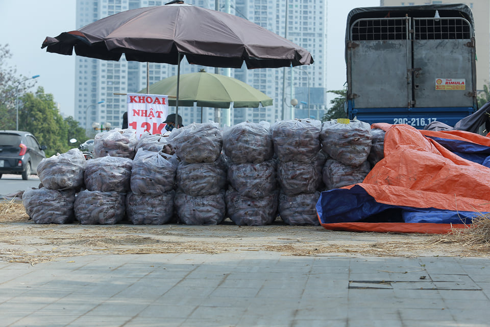 Hà Nội: Đường phố tràn lan biển “giải cứu” sầu riêng, khoai lang Nhật - Ảnh 9.