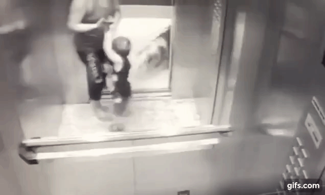 Khoảnh khắc ám ảnh: Chó lao vào thang máy tấn công bé trai 18 tháng tuổi, bảo mẫu đi cùng trở tay không kịp - Ảnh 6.