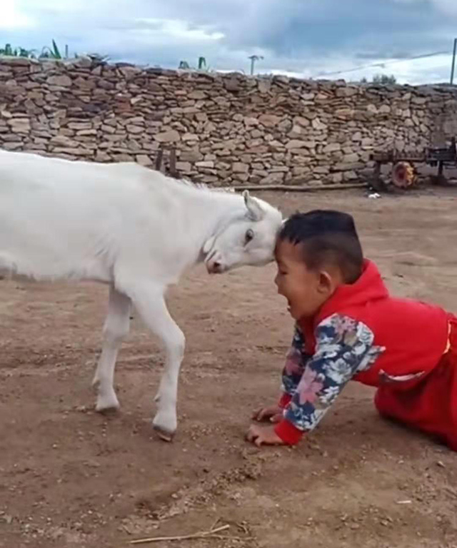 Gửi con về quê nghỉ hè cùng ông bà, bố mẹ &quot;điêu đứng&quot; vì suýt nữa không nhận ra con! - Ảnh 5.