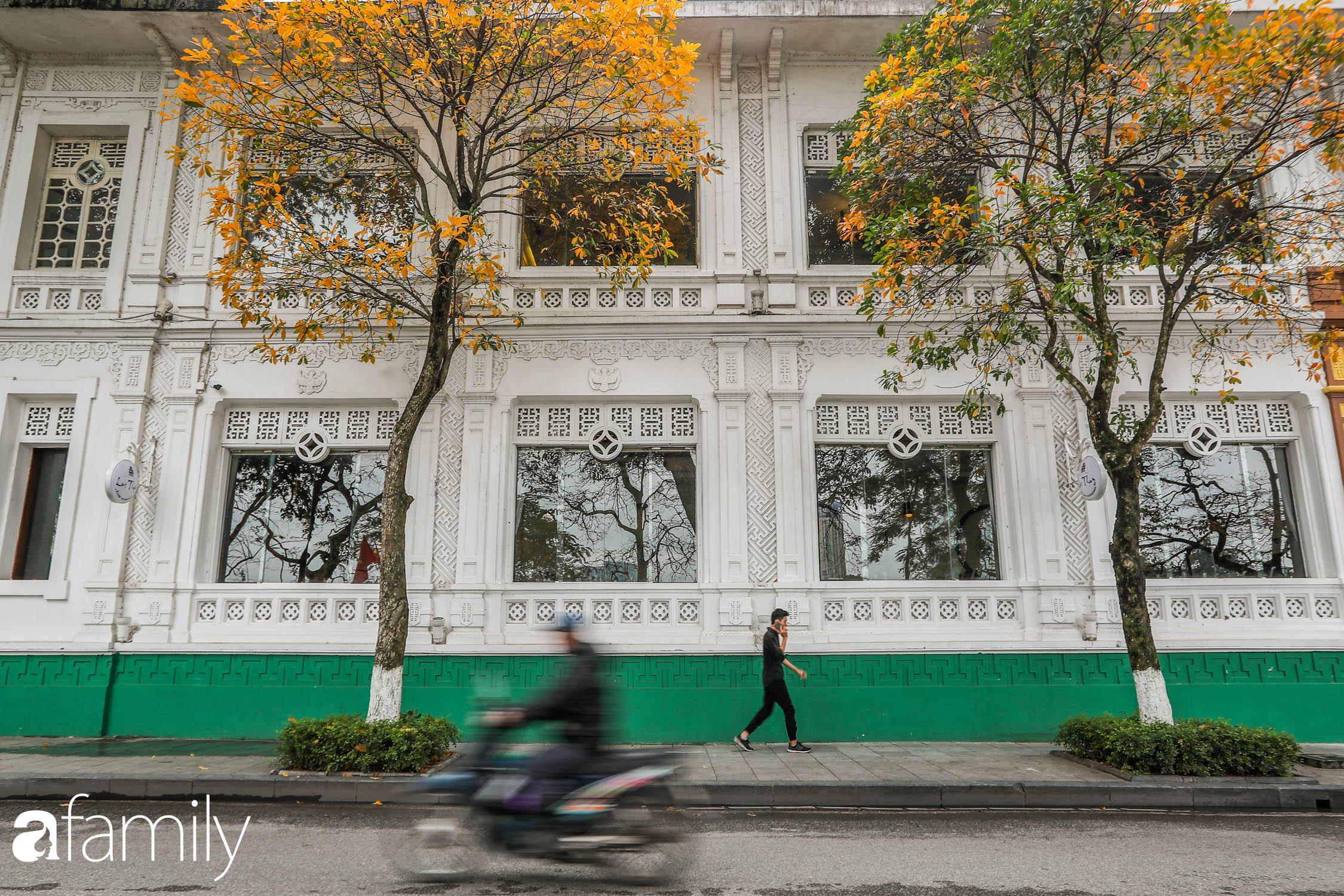 Hà Nội tháng Ba mà cứ ngỡ thu về, bởi vừa có nắng vàng dịu ngọt, vừa có thảm lá vàng &quot;đi lạc&quot; sau giấc ngủ đông - Ảnh 5.