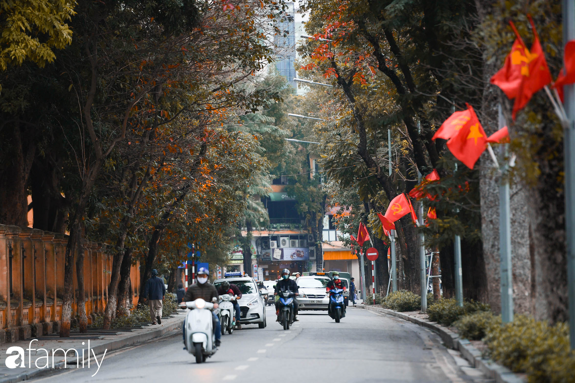 Hà Nội tháng Ba mà cứ ngỡ thu về, bởi vừa có nắng vàng dịu ngọt, vừa có thảm lá vàng 