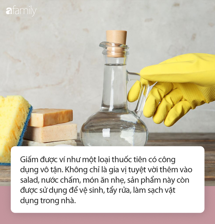 Khử tr&ugrave;ng với giấm v&agrave; những điều bạn cần biết trước khi d&ugrave;ng sản phẩm n&agrave;y để tẩy rửa - Ảnh 1.