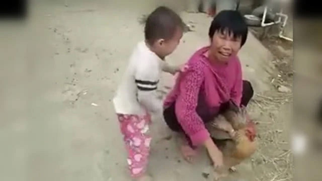 Cậu bé 3 tuổi khóc lóc, nằng nặc không cho bà mổ gà. Cư dân mạng khen ngợi sự nhân hậu của bé. - Ảnh 1. Cậu bé 3 tuổi khóc lóc, nằng nặc không cho bà mổ gà. Cư dân mạng khen ngợi sự nhân hậu của bé. - Ảnh 1.