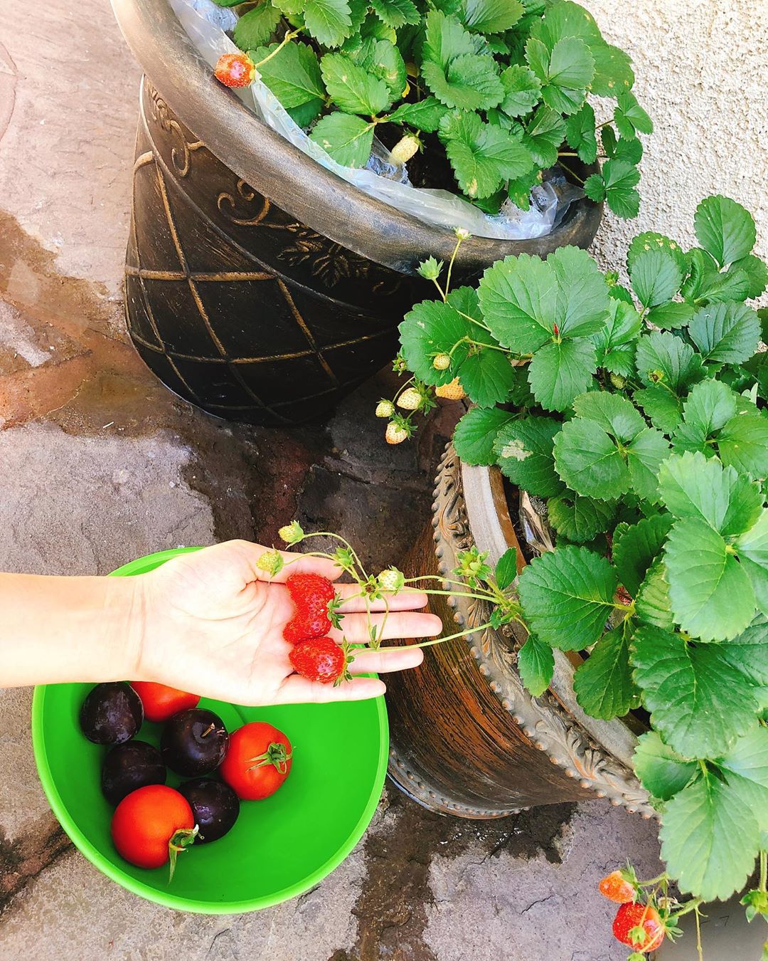 Mới khoe tậu nhà trên đỉnh núi, Phạm Hương tiếp tục phô diễn tổ ấm xa hoa tự tay bài trí bên Mỹ - Ảnh 4.