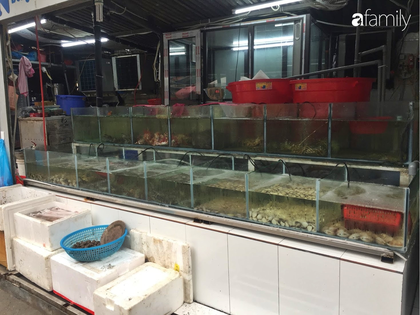 Mách lẻo cho hội chị em đoạn phố bán các loại hải sản Quảng Ninh vẫn còn nhảy &quot;tanh tách&quot; trong bể - Ảnh 6.