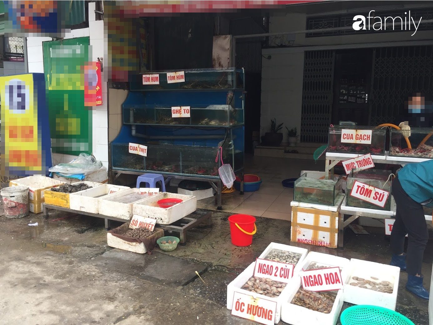 Mách lẻo cho hội chị em đoạn phố bán các loại hải sản Quảng Ninh vẫn còn nhảy &quot;tanh tách&quot; trong bể - Ảnh 3.