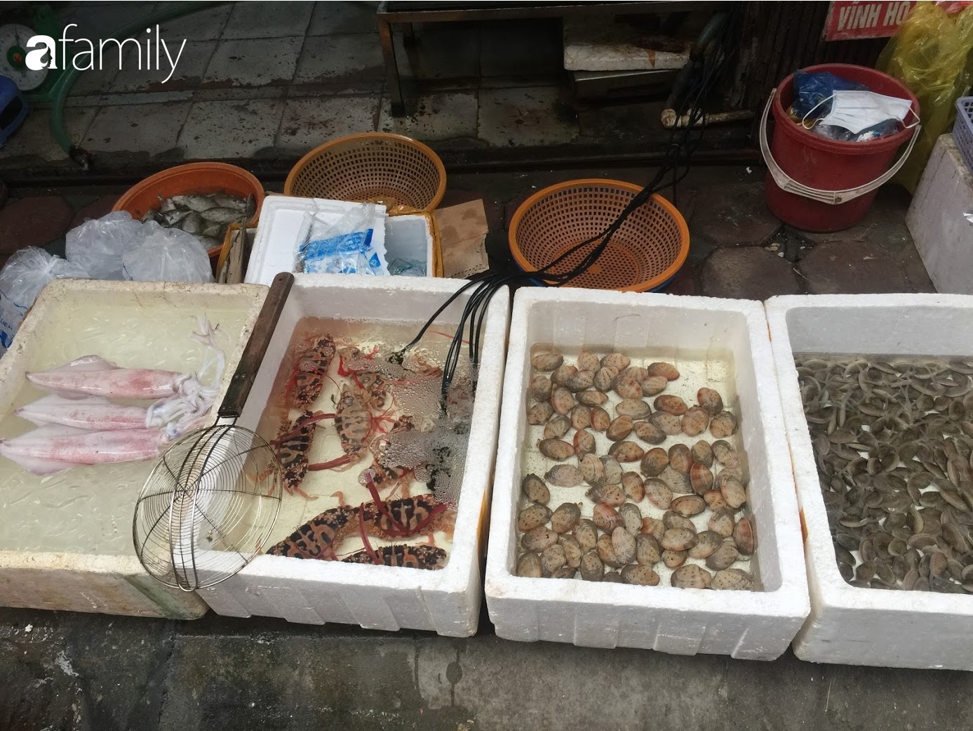 Mách lẻo cho hội chị em đoạn phố bán các loại hải sản Quảng Ninh vẫn còn nhảy &quot;tanh tách&quot; trong bể - Ảnh 7.