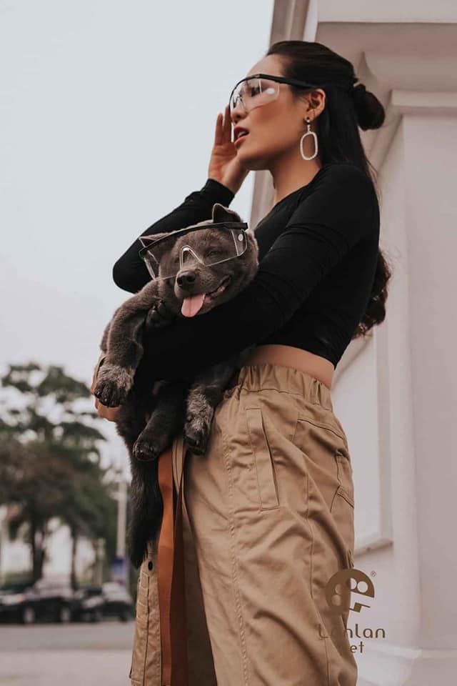 Chú chó Nguyễn Văn Dúi từ hình ảnh nông thôn nay đã chuyển sang thành thị, làm người mẫu ảnh thời trang kiêm luôn “đại sứ rau củ” bằng bộ ảnh siêu xịn - Ảnh 4.