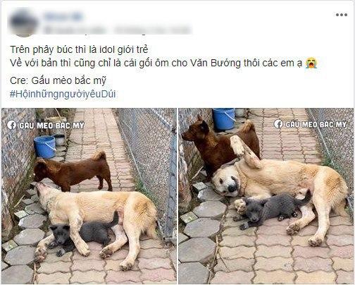 Đáng thương như boss Nguyễn Văn Dúi: Trên facebook thì là &quot;idol giới trẻ&quot;, về nhà lút cút chỉ là cái gối ôm cho Văn Bướng! - Ảnh 2.
