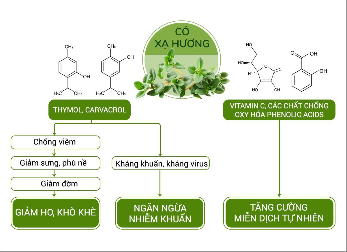 Lạm dụng kháng sinh trị ho và những hậu quả khôn lường - Ảnh 2.