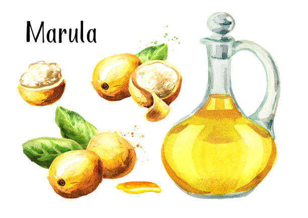 Da lão hóa đầy nếp nhăn và thâm nám, thật sự sai lầm nếu các nàng 30+ không có 5 loại oil này trong liệu trình skin care mỗi ngày - Ảnh 5. Da lão hóa đầy nếp nhăn và thâm nám, thật sự sai lầm nếu các nàng 30+ không có 5 loại oil này trong liệu trình skin care mỗi ngày - Ảnh 5.
