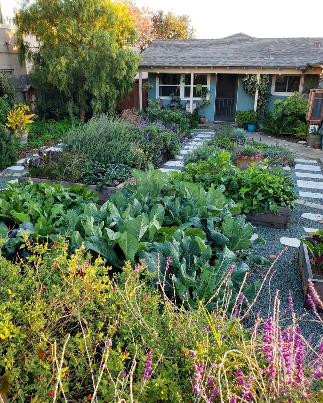 Top 50 những ngôi nhà có vườn rau đẹp hiện đại nhất