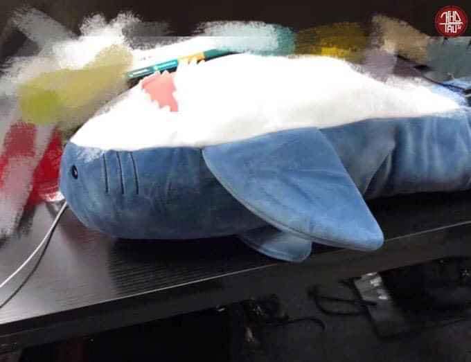 Thấy c&aacute; mập b&ocirc;ng c&oacute; h&agrave;m răng dữ tợn, b&agrave; nội đ&atilde; l&agrave;m một việc khiến ai nấy... sững sờ - Ảnh 2.