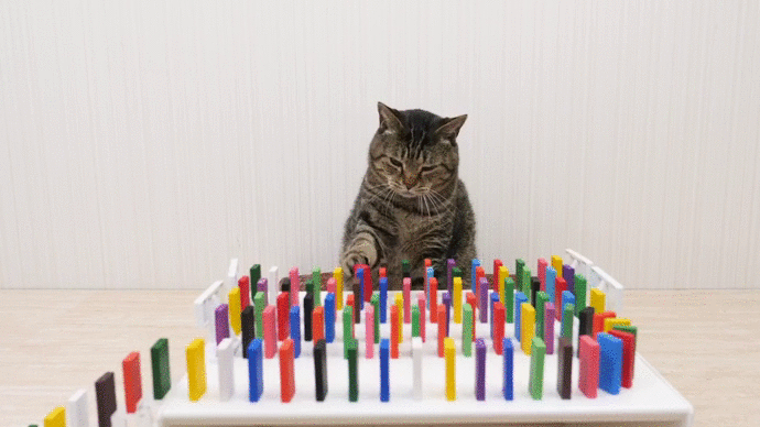 cats-and-domino-online-video-cuttercom-15850277914202029732828.gif