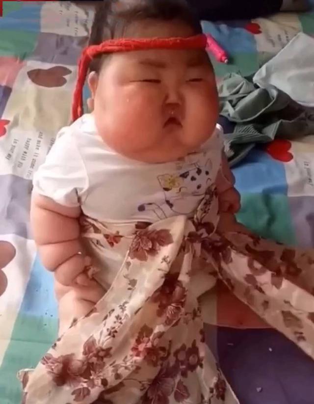 Have you ever seen such an adorable Sumo? This is a cute and adorable fat baby from Japan. The baby's plump body will make you want to hug him/her immediately.