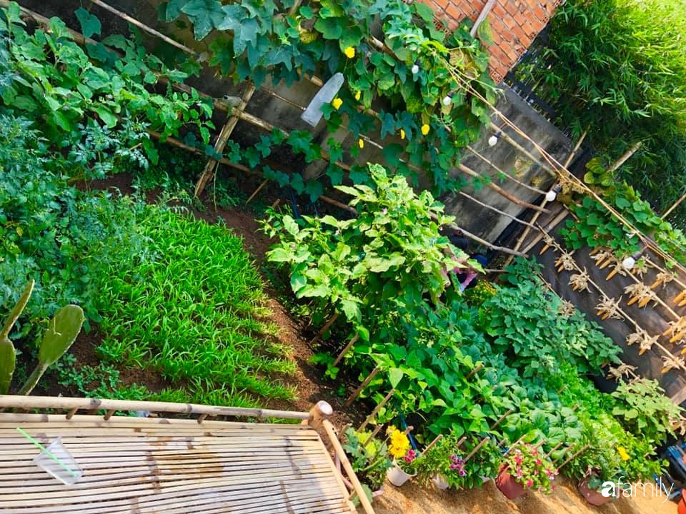 Bí quyết trộn đất giản đơn mà hiệu quả giúp khu vườn 70m² trồng cây gì cũng tốt tươi xanh mát ở Huế - Ảnh 5.