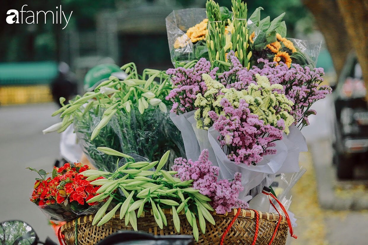 Mùa hoa loa kèn về giữa dịch Covid-19, phố phường vắng tanh, loài hoa thanh tú ngày nào bỗng nhiên bị 