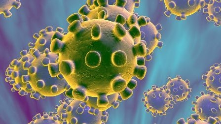 Nhà virus học Nga chỉ ra cơ chế lây nhiễm “đặc biệt” của Coronavirus - Ảnh 1.