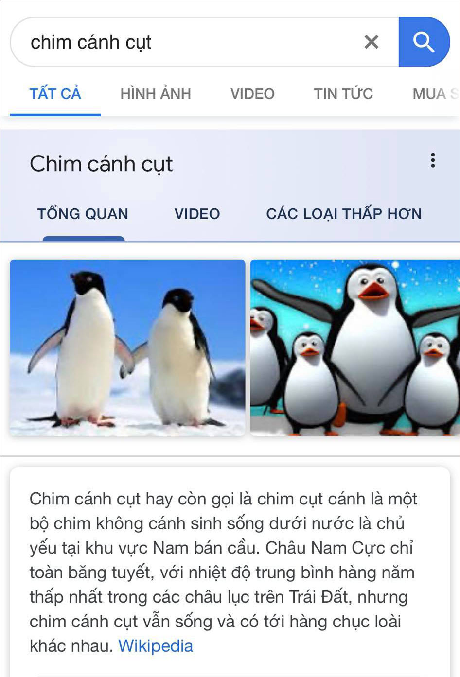 Trò Chơi Mới Cho Trẻ Mùa Dịch: Ở Nhà Vẫn Chơi Đùa Được Với Cả Vườn Thú