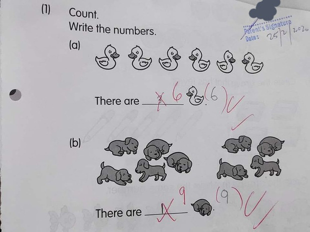 Bài toán đếm vịt gây tranh cãi: Cô bé lớp 1 đưa ra đáp án sai bị cô giáo gạch bỏ nhưng dân mạng đồng tình “Vậy mới đúng”! - Ảnh 2.