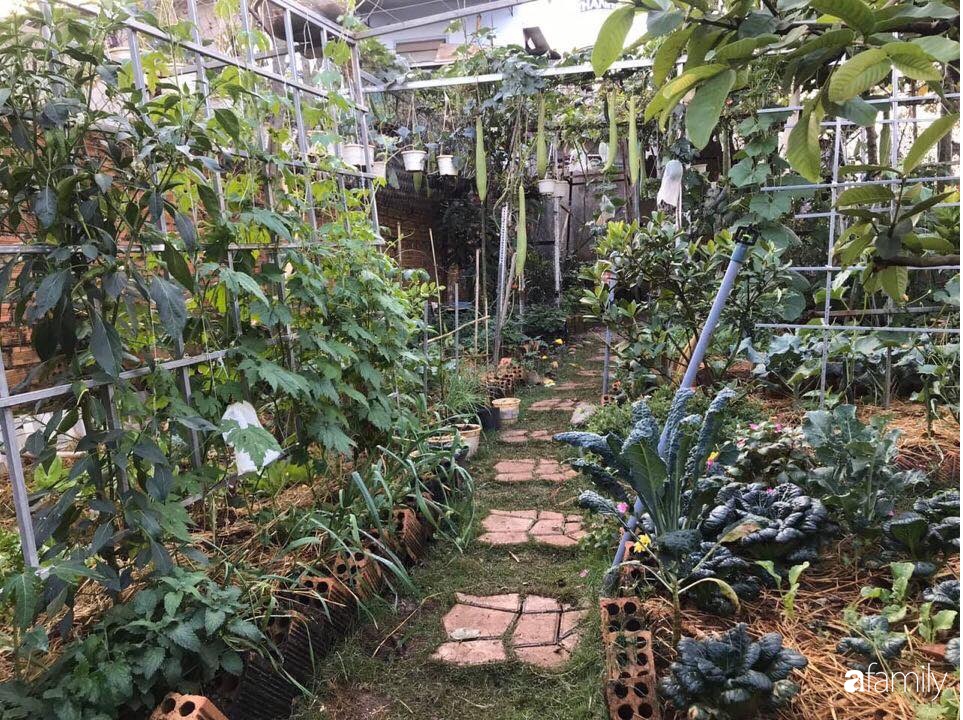 Vườn Rau Quả Tốt Tươi Đủ Loại Giúp Cả Nhà Quanh Năm Được Thưởng Thức Đồ  Sạch Ở Lâm Đồng