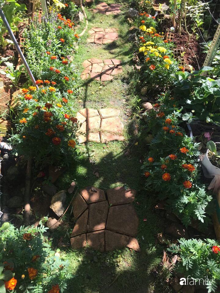Vườn rau quả tốt tươi đủ loại giúp cả nhà quanh năm được thưởng thức đồ sạch ở Lâm Đồng - Ảnh 8.